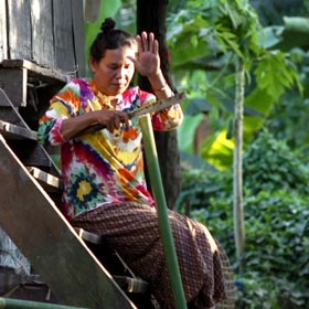 La magie du bambou thaï