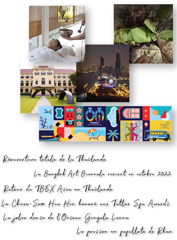 Newsletter Octobre 2022