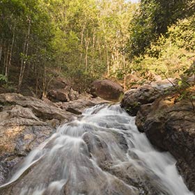 La belle nature de Ko Pha Ngan