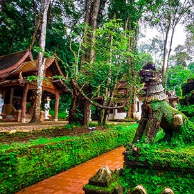 Chiang Mai à la saison verte