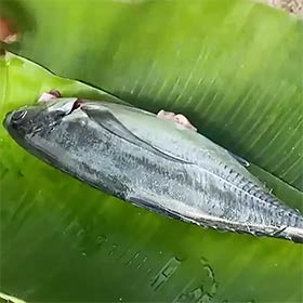 Le poisson en papillote de Rhan