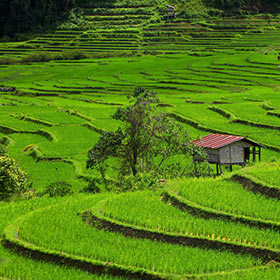 Chiang Mai, la superbe du Nord