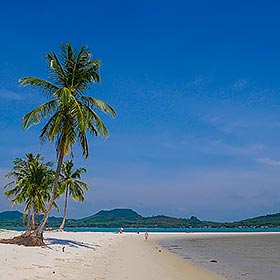 Avril en Thaïlande