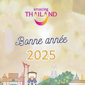 Excellente Année 2025 !